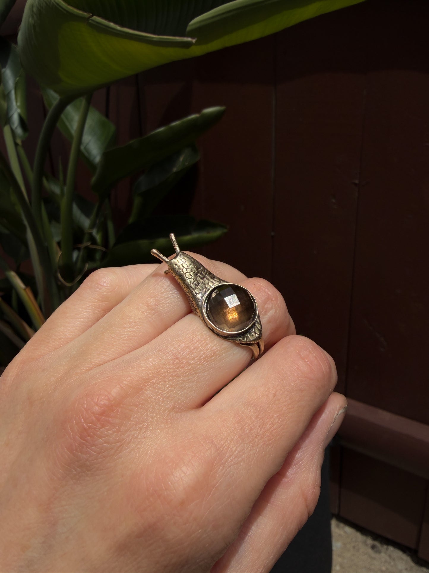 Aspersa Ring in Bronze