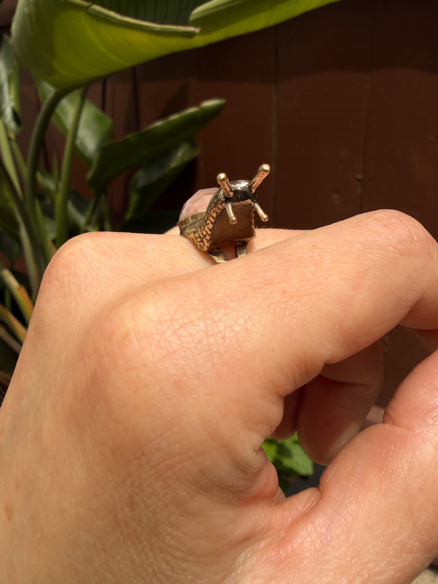Aspersa Ring in Bronze