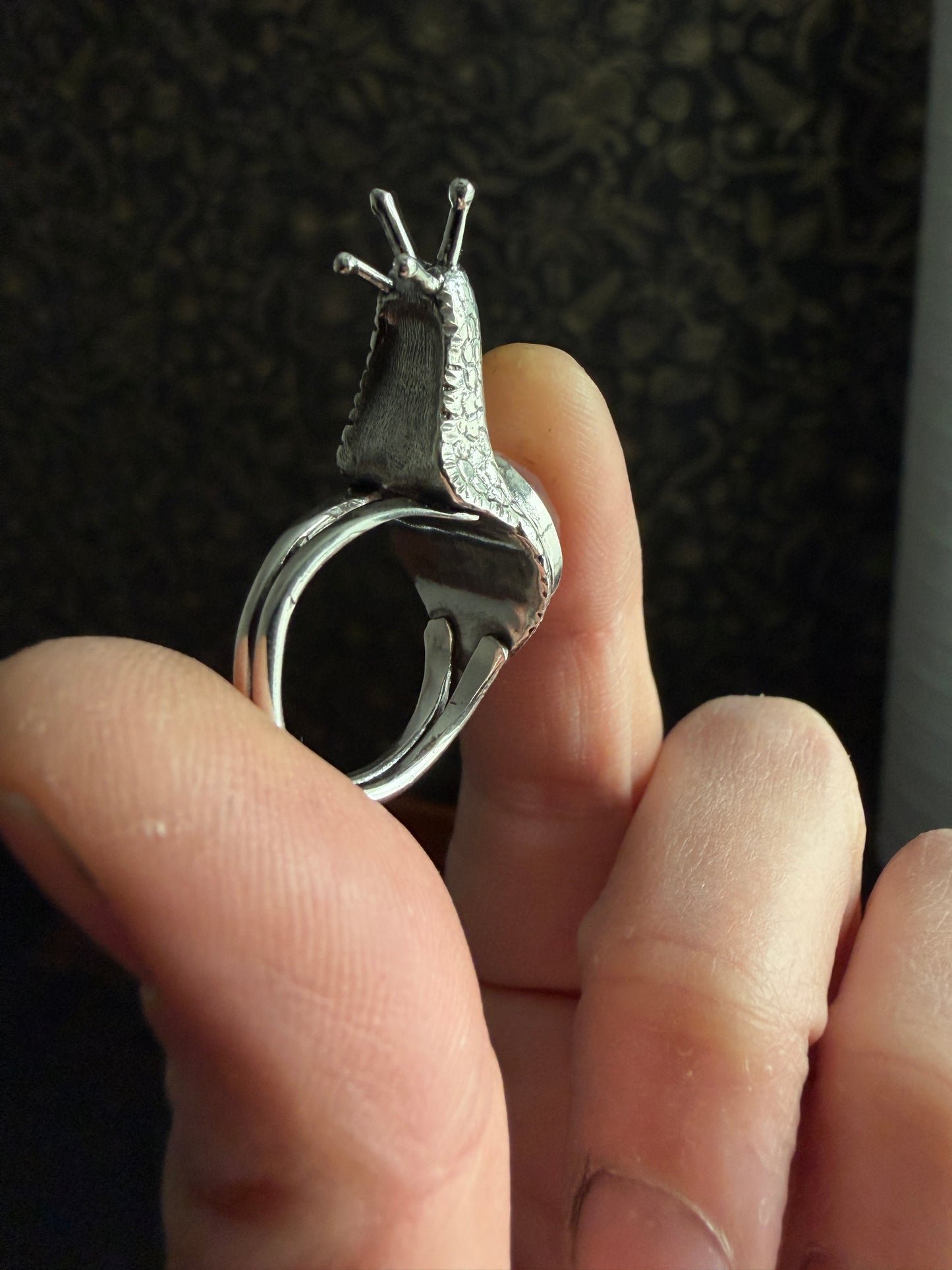 Aspersa Ring in Sterling Silver