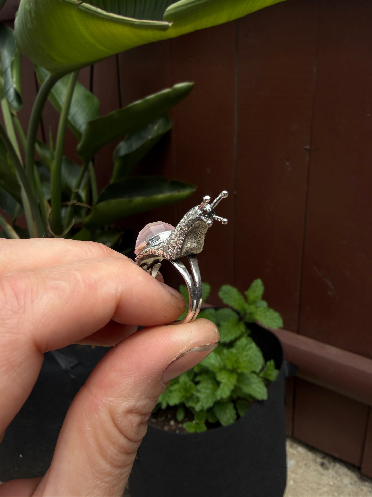 Aspersa Ring in Sterling Silver