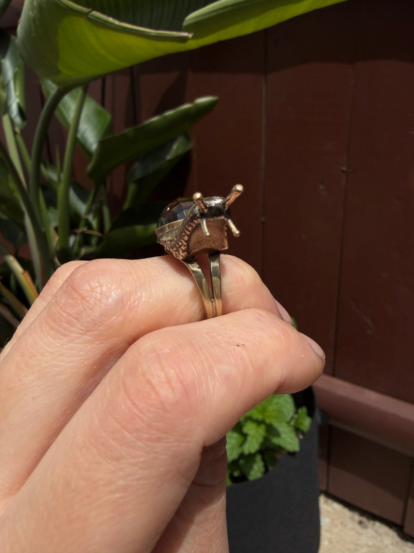 Aspersa Ring in Bronze