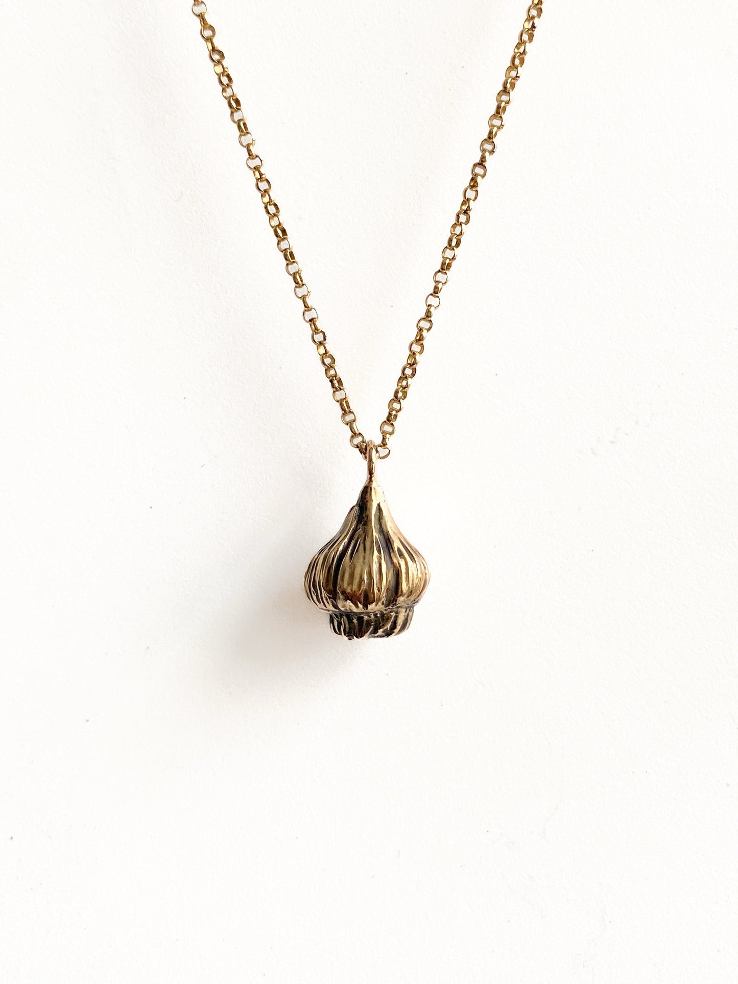 Garlic Necklace in Bronze
